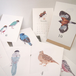 [銷售] 2017日曆和鳥類（盒裝） 第5張的照片