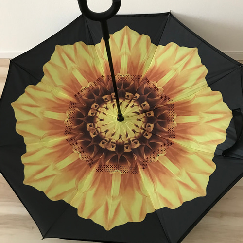 SALE】逆さに開く 逆さ傘 花柄 花/黄色 傘 日傘 雨傘 長傘 晴雨