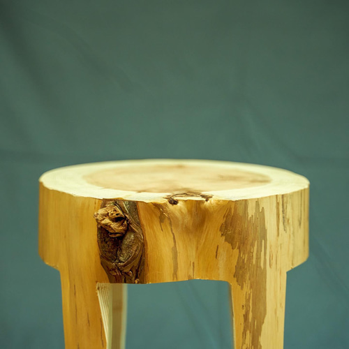 丸太　スギ　スツール　Wood Log Stool LOG STOOL 杉の丸太スツール／ディスプレイ／サイドテーブル 磨き 天然