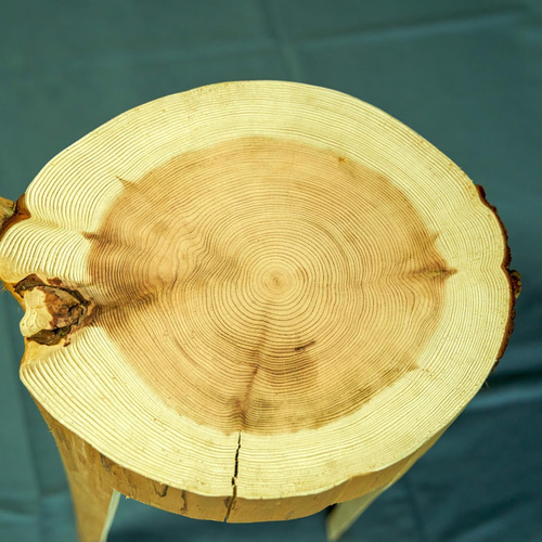 丸太　スギ　スツール　Wood Log Stool LOG STOOL 杉の丸太スツール／ディスプレイ／サイドテーブル 磨き 天然