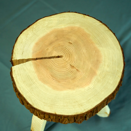 log stool #2 アウトドアにもインテリアにも使える無垢材使用