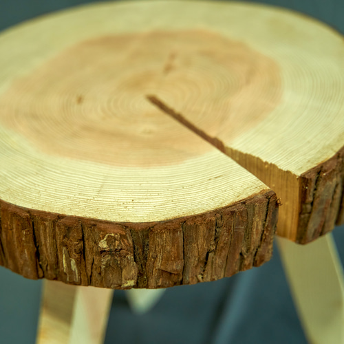 log stool #2 アウトドアにもインテリアにも使える無垢材使用