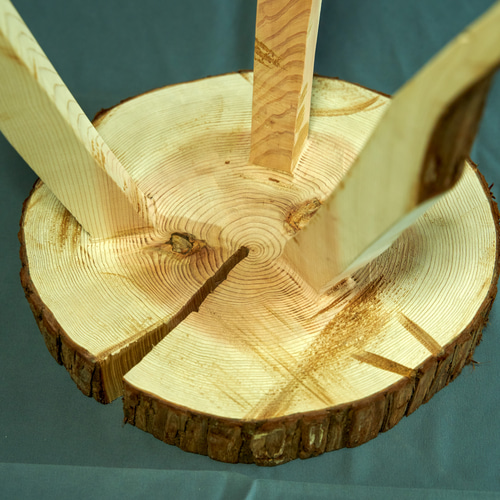丸太　スギ　スツール　Wood Log Stool LOG STOOL 杉の丸太スツール／ディスプレイ／サイドテーブル 磨き 天然