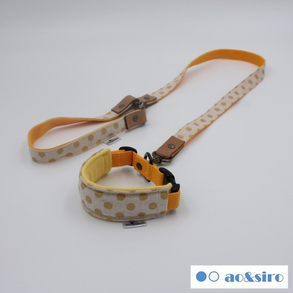 防水 カフェリード首輪 セット 首輪+リードセット】名前入り カラフル