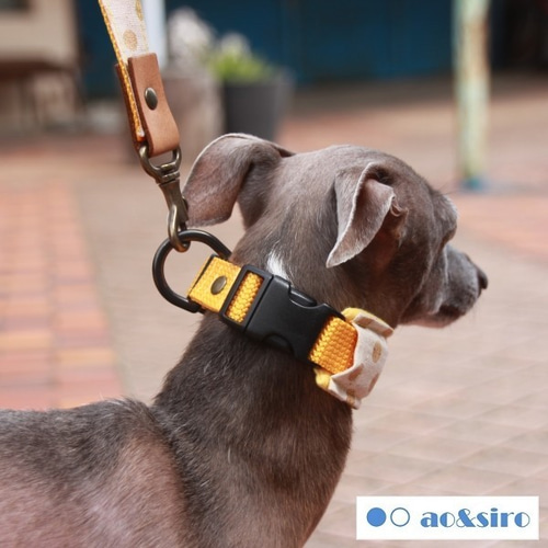 二点セット】リード＋幅広クッション首輪/ゴールド×サンライトイエロー