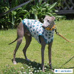 イタグレ服 のおすすめ人気通販 検索結果｜Creema(クリーマ