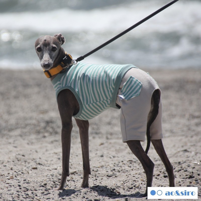 イタグレ服 ハンドメイド ネーム入り 太ボーダーロンパース