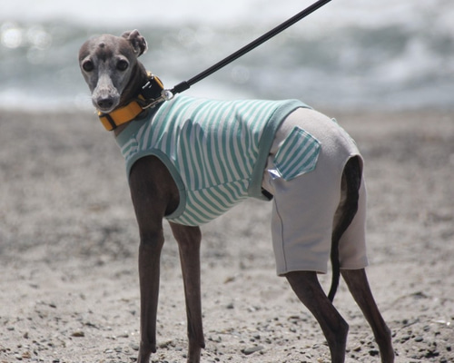 黒のボーダーロンパース イタグレ服 犬服 ハンドメイド