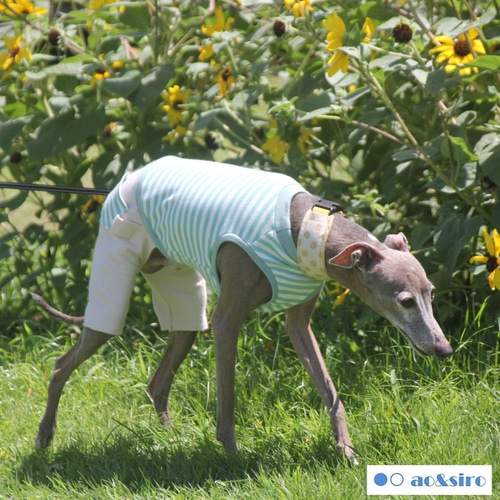 モスグリーンのロンパース イタグレ服 犬服 ハンドメイド