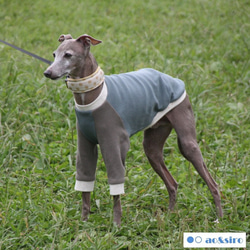 犬服 イタグレ のおすすめ人気通販 検索結果｜Creema(クリーマ