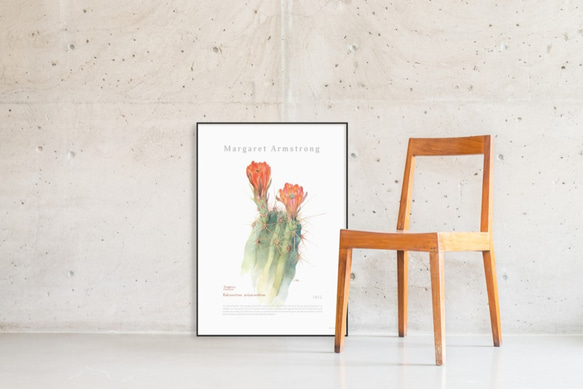 ヘッジホッグサボテン | AP037 | アートポスター 植物 花 2枚目の画像