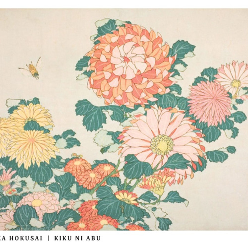 北斎花鳥画集 菊に虻 | AP047 | インテリアポスター 葛飾北斎