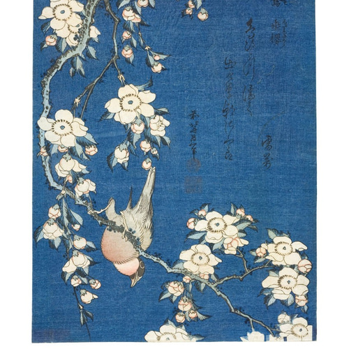 鷽に垂桜 | AP045 | インテリアポスター 葛飾北斎 浮世絵 和モダン