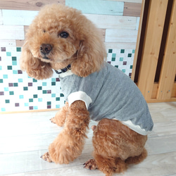 【犬服】リニューアル 再販 迷彩 タンクトップ シック な カモフラ 11枚目の画像