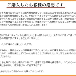 マタニティフォトシール ベリーペイント ボディペイント タトゥーシール 練習用シール付 ZH 4枚目の画像