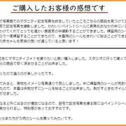 マタニティフォトシール ベリーペイント ボディペイント タトゥーシール 練習用シール付 ZK 5枚目の画像