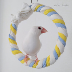 鳥ブランコおまとめ & リメイク 鳥 おもちゃ ブランコ 鳥のおもちゃオウムキングフィッシュ
