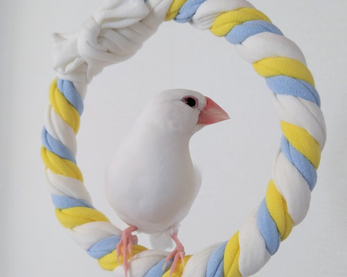 マシュロール《レモンソーダ》Mサイズ 手作り ブランコ 鳥 文鳥
