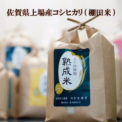 «送料無料»【熟成米】佐賀県上場産 コシヒカリ ５㎏ 1枚目の画像