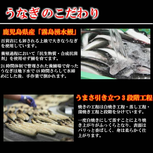 «送料無料»霧島湧水鰻重　【プレゼント・各種ギフトにもオススメ】 3枚目の画像