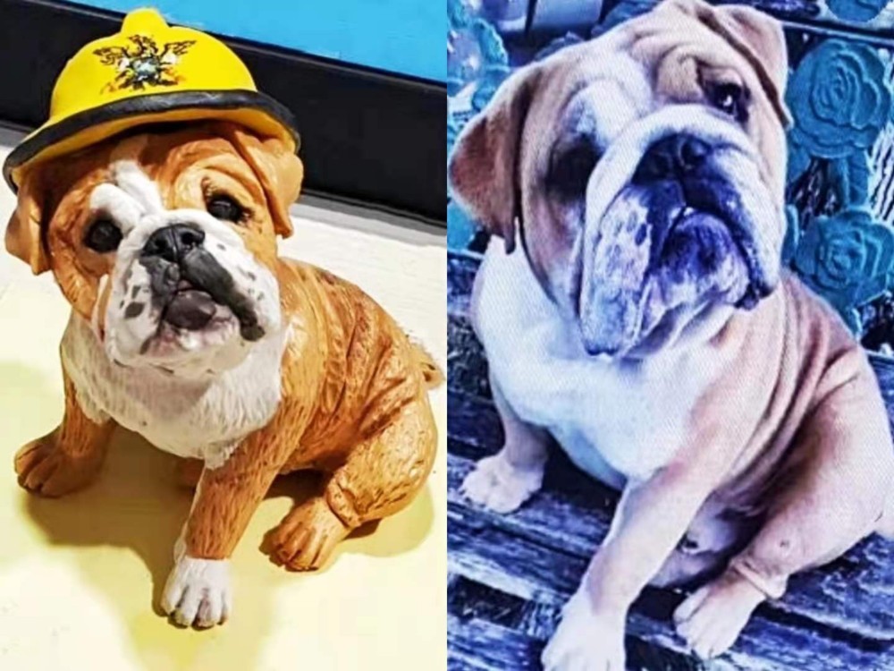 【オーダーメイド】お写真入から うちの子 愛犬 愛猫 肖像画 写真 似顔絵 人形 フィギュア メモリアル ペットロス