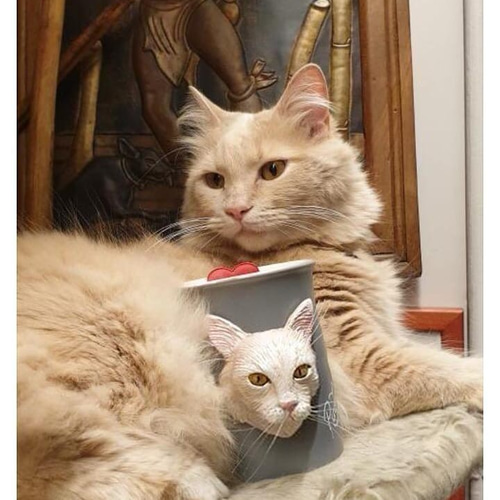 お写真入から コーヒーカップ うちの子 愛犬 愛猫 3D 似顔絵 肖像画 