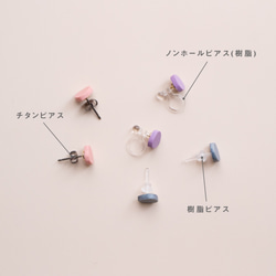 enogu mini -ice cream- ピアス/イヤリング 10枚目の画像