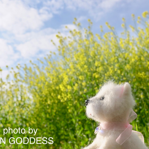 お休みしてます』羊毛フェルト 犬 オーダー 9nine 羊毛フェルト 9nine