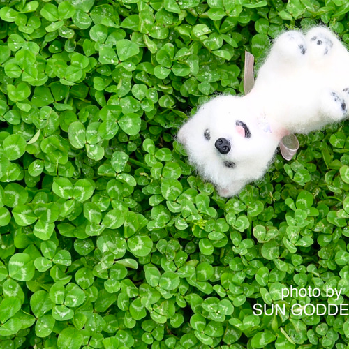 お休みしてます』羊毛フェルト 犬 オーダー 9nine 羊毛フェルト 9nine