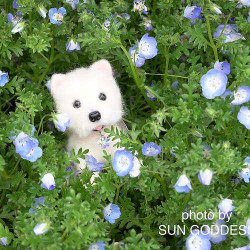 お休みしてます』羊毛フェルト 犬 オーダー 9nine 羊毛フェルト 9nine