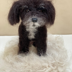 お休みしてます』羊毛フェルト 猫 オーダー 9nine 羊毛フェルト 9nine