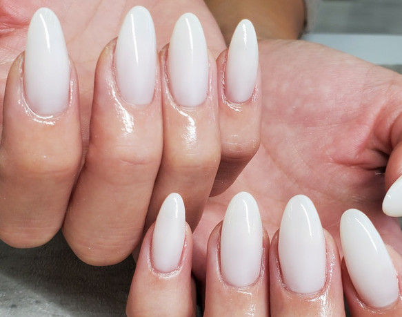 00))フルオーダー ネイルチップ 付け爪 ワンカラーネイル シンプル 上品 大人ワンカラーネイル- ネイルチップ(つけ爪)専門店ミチネイル