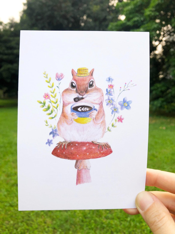 色鉛明信片-花栗鼠 |Squirrel postcard 第1張的照片