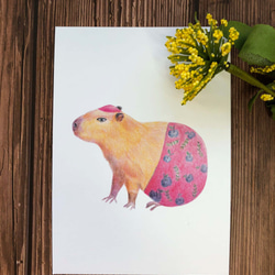 色鉛明信片-水豚 |Capybara postcard 第1張的照片