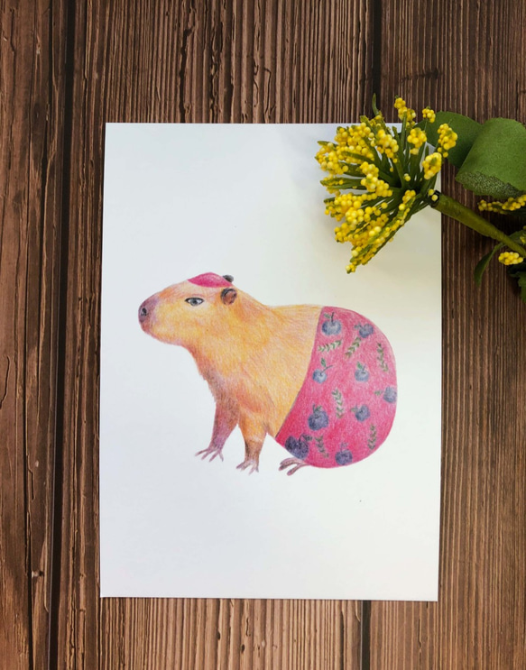 色鉛明信片-水豚 |Capybara postcard 第1張的照片