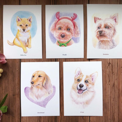 明信片-色鉛手繪狗系列(5張） 第2張的照片
