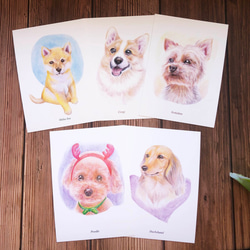 明信片-色鉛手繪狗系列(5張） 第1張的照片