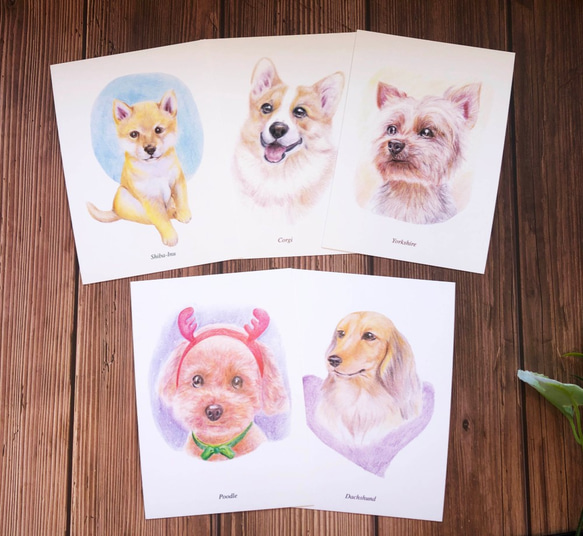 はがきカラーリード手描き犬シリーズ（写真5枚） 1枚目の画像