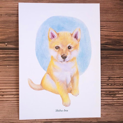 明信片-色鉛手繪狗系列(5張） 第3張的照片