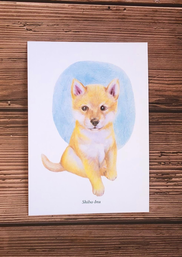 明信片-色鉛手繪狗系列(5張） 第3張的照片