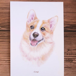 明信片-色鉛手繪狗系列(5張） 第4張的照片