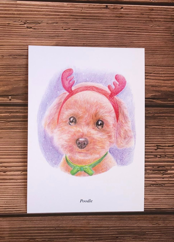 明信片-色鉛手繪狗系列(5張） 第6張的照片