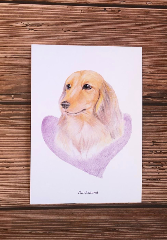 明信片-色鉛手繪狗系列(5張） 第7張的照片
