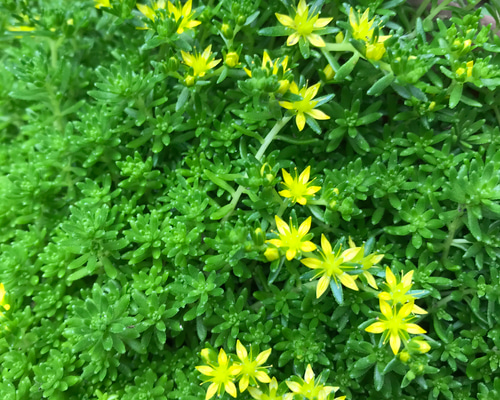 1_ab1b7fa37f8e89bb1718861f9877