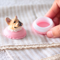 ペットの形をした収納ボックス-VIP。Fadou。Mar.Corgi 7枚目の画像