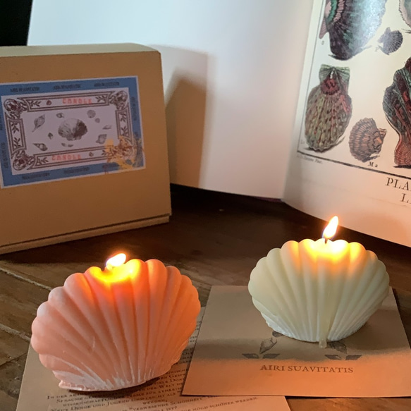 【Concharum】 soy candle 2set | ソイキャンドル | アロマキャンドル | インテリア雑貨 4枚目の画像