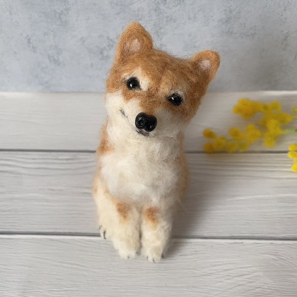 羊毛フェルト 犬 柴犬 ハンドメイド 羊毛フェルト モフメイド 羊毛フェルト 犬 柴犬 ハンドメイド 羊毛フェルト モフメイド