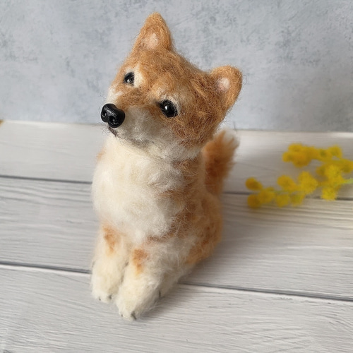 羊毛フェルト 犬 柴犬 ハンドメイド 羊毛フェルト モフメイド