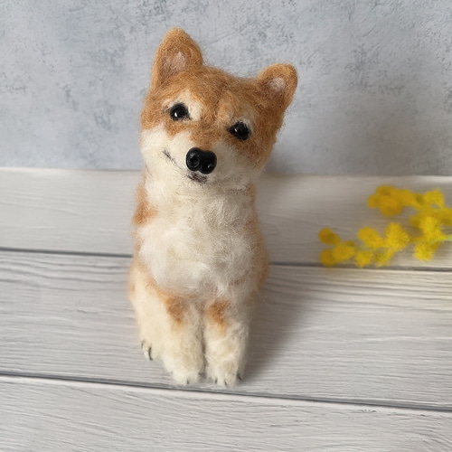 羊毛フェルト 犬 柴犬 ハンドメイド 羊毛フェルト モフメイド 羊毛フェルト 犬 柴犬 ハンドメイド 羊毛フェルト モフメイド