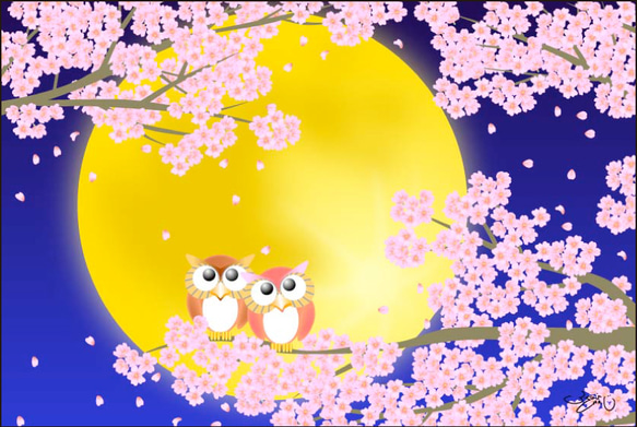 ポストカード008　静月桜（しずきさくら）5枚セット 1枚目の画像